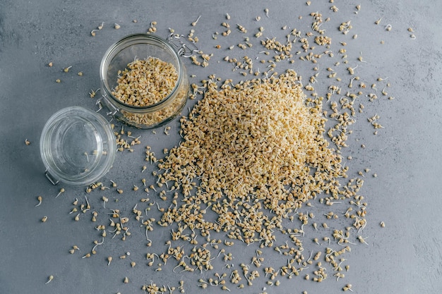 Top view of sprouted buckwheat in glass jar and on grey background Vegan food Healthy nutrition concept Useful dietary dish