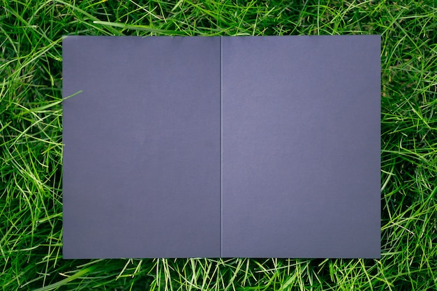 Top view of square frame creative layout of green grass lawn with black open postcard and shadows fr...