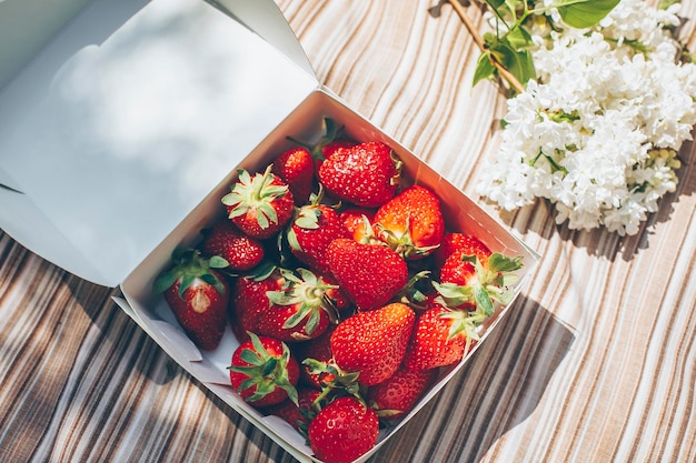 Top view on striped tablecloth blanket with strawberry in paper box and branch of white lilac Summer picnic