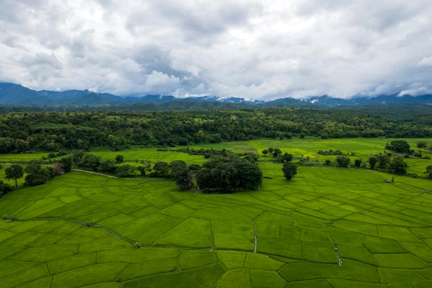 Top view Terraced rice field at Chiangmai Northern Thailand