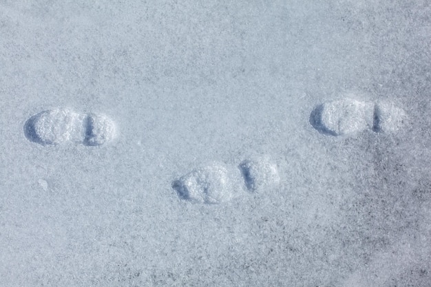 Top view on three footprints in the icy snow on a sunny day.