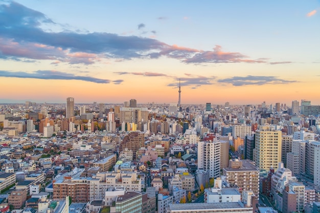 Top view of Tokyo city skyline (Shinjuku and Shibuya) area with beautiful sunset in Japan.