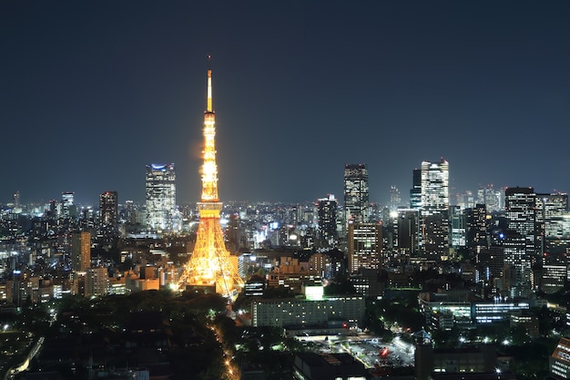 top view of Tokyo cityscape at night