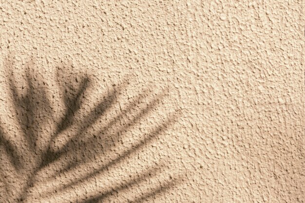 Photo top view of tropical leaf shadow on sand creme background. flat lay. minimal summer concept with palm tree leaf. creative copyspace.