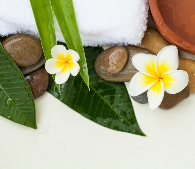 Top view of two spa flowers and stones for massage treatment on white background