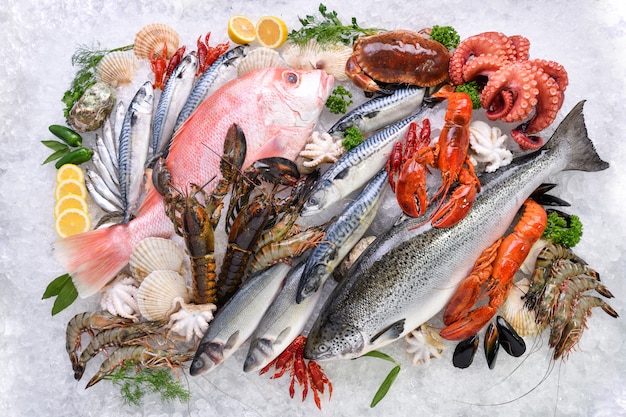 Top view of variety of fresh fish and seafood on ice