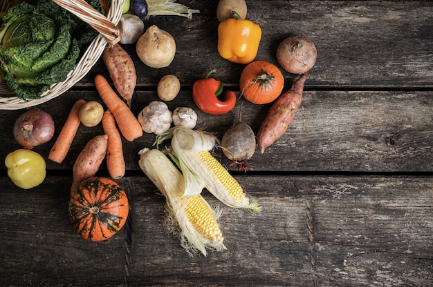 Top view of various autumn vegetables such as sweet potato, corn, carrots, squash, onions, scattered out of a wicker basket onto wooden boards.