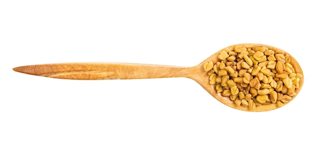 Top view of wood spoon with fenugreek seeds