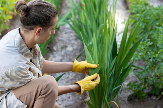 Top view of young man working in the organic and ecological plantation