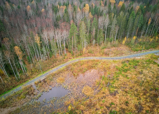 Topdown drone view of the country road near the forest in cloudy autumn day Karelia Russia