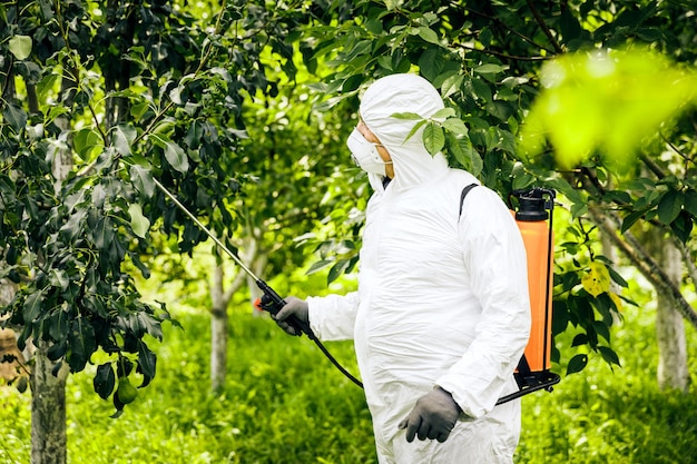 The topic of industrial agriculture A person sprays toxic pesticides or insecticides on a plantation Weed control