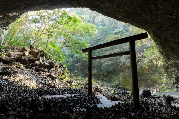 Photo torii in the cave