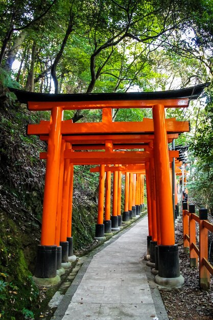 Photo torii gates in fushimi inari shrine kyoto japan