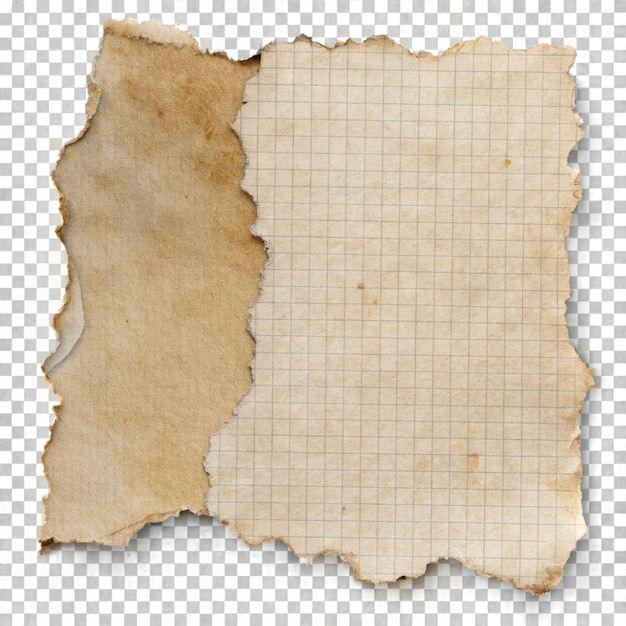 Photo torn page png ephemera collage element transparent background