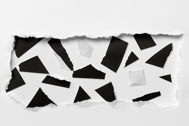 Torn Paper as Metaphor Unpacking Meaning and Structure in a White Background Composition