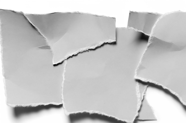 Torn Paper as Metaphor Unpacking Meaning and Structure in a White Background Composition