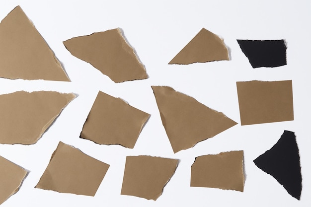 Torn Paper as Metaphor Unpacking Meaning and Structure in a White Background Composition