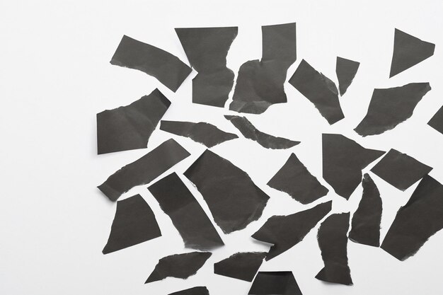 Torn Paper as Metaphor Unpacking Meaning and Structure in a White Background Composition