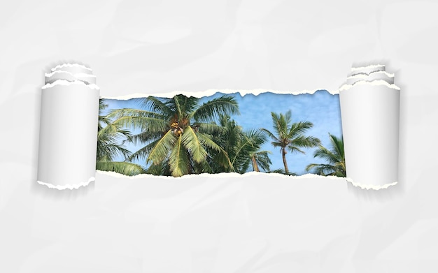 Torn paper with palm trees against blue sky in opening background