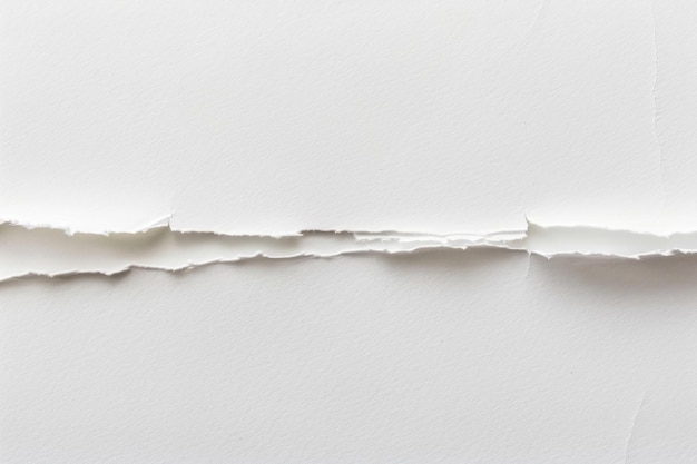 Torn white paper texture