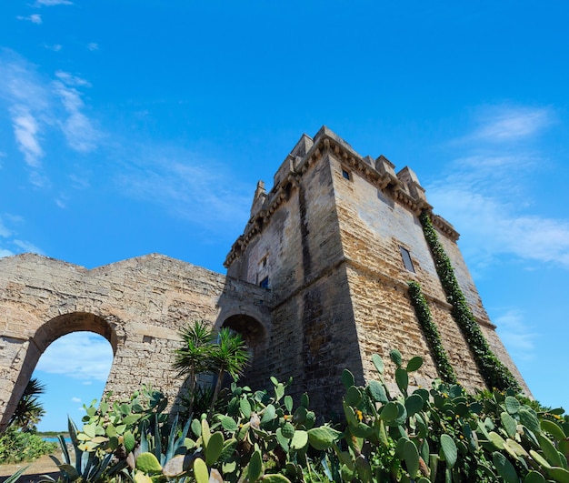 Torre Colimena on Salento sea coast Italy