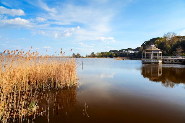 Torre del lago view