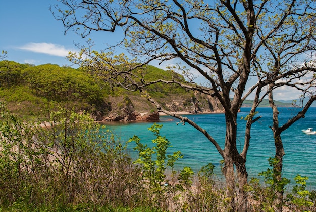 Tourism and sea travel Rest on the sea