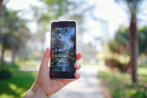 Tourist female hands holding a gadget against a blurry summer background