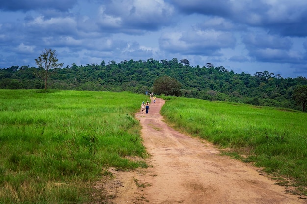 tourist group walking on mountains at the national park