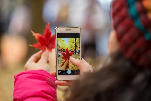 Tourist hand holding mobile phone while taking a photograph of maple leaf in foliage season.