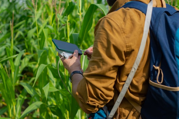 Tourist holds a smartphone with a portable charger in his hands Man with a Power Bank charges the phone against the background of the corn field