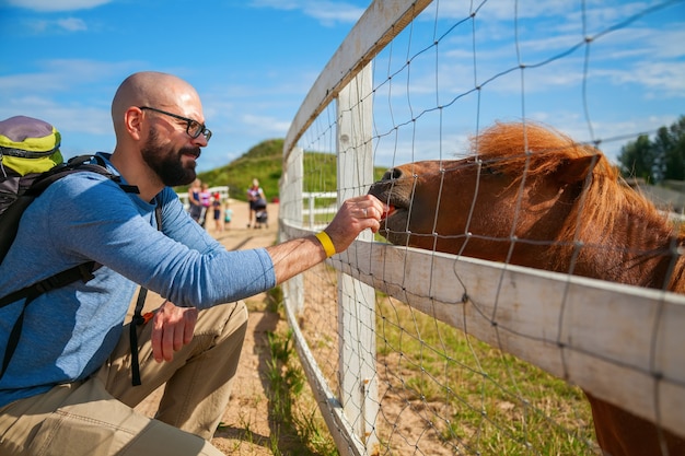 Tourist man feeding young beautiful pony carrot through the fence