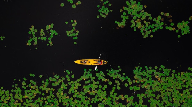 Tourist paddling kayaking in the green leave lotus and over black lake