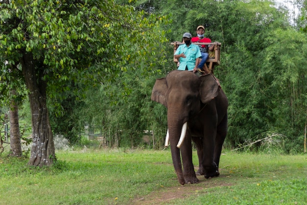 Tourist riding elephant through jungle in Lampung, Indonesia