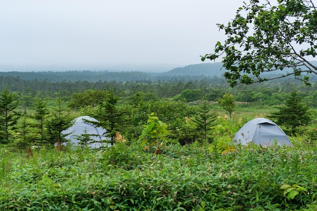 Tourist tent among the grass in a cloudy valley