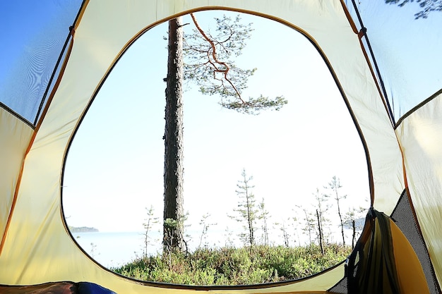 tourist tent inside summer forest / summer holidays in the forest, tent inside view, camping