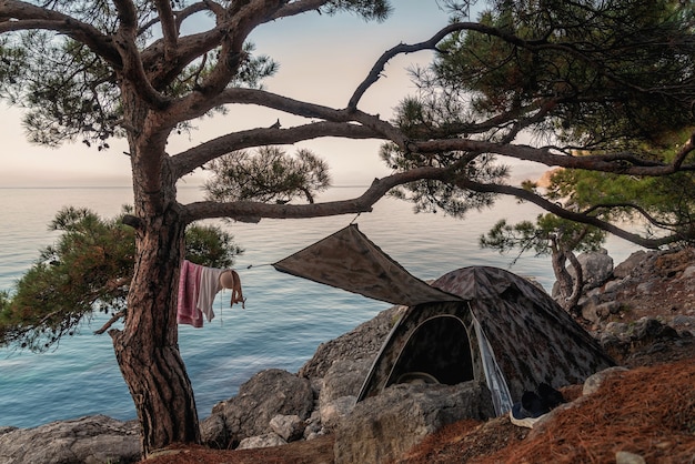 Tourist tent under a large pine tree on the seashore, resting place, tourist camp, vacation