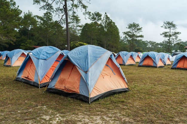 Tourist tent on a meadow at Phu Kradueng Loei province Thailand