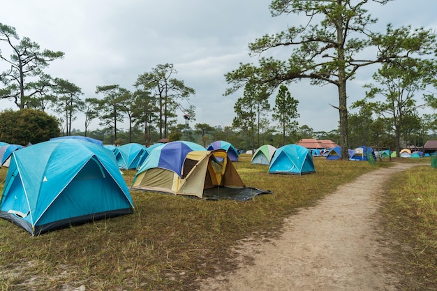 Tourist tent on a meadow at Phu Kradueng Loei province Thailand