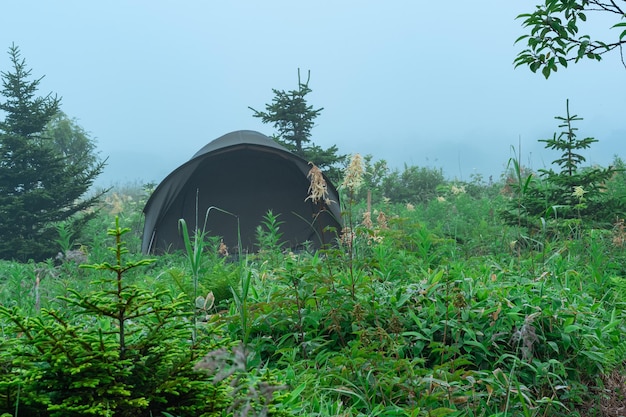 Tourist tent among the vegetation in the foggy morning landscape