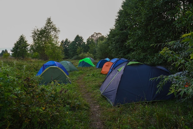 Tourist tents on the background of a summer field at sunrise. Adventure traveling lifestyle. Concept wanderlust. Active weekend vacations wild nature outdoor.