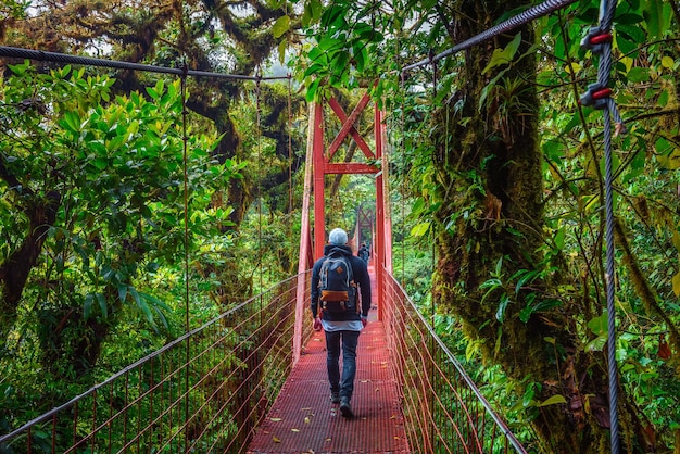 Tourist walking on a suspension bridge in monteverde cloud forest costa rica