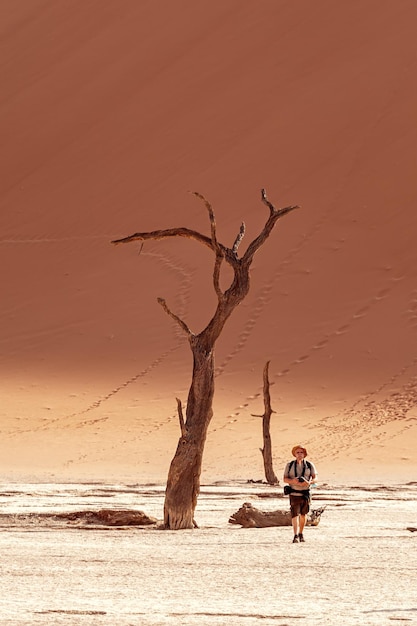 A tourist walks near a petrified dead acacia in  Deadvlei Valley.Namibia