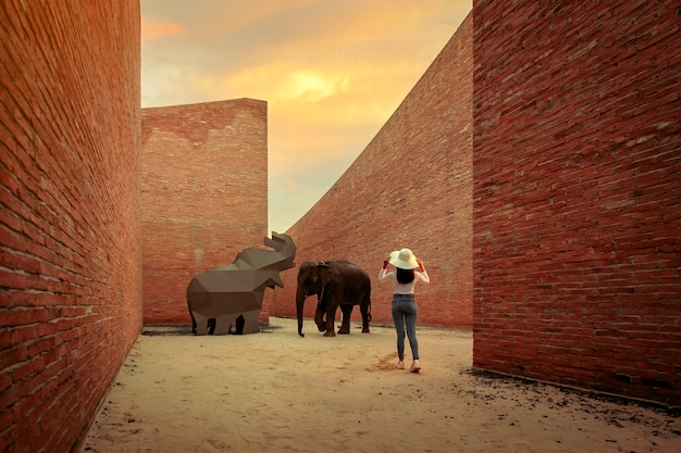 Tourist Was watching an elephant show At the elephant learning center Surin Province, Thailand