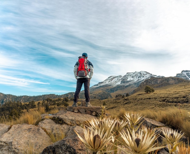 Tourist with backpack walks along snowy valley in rays of sunset to forest