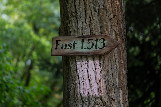 A touristic path sign or mark on the tree orientation and navigation symbol