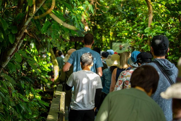 Tourists in the Animal Conservation Park, a tourist destination in Southeast Asia, Sandakan, Sabah, Borneo, Malaysia