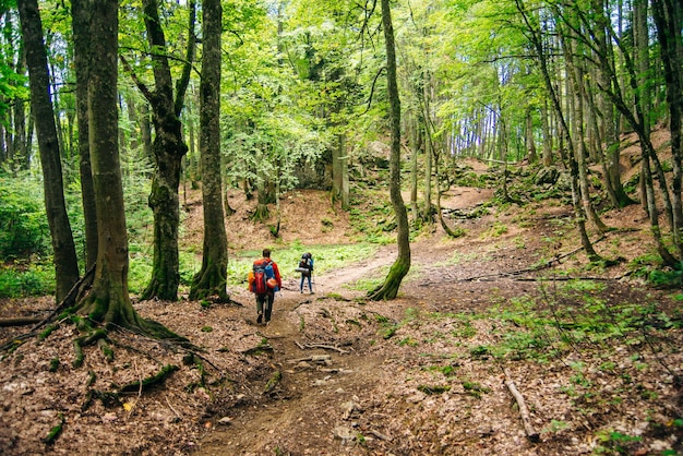 Tourists descend from the slope through the forest High quality photo