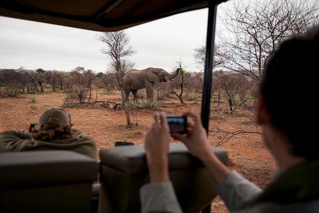 Photo tourists photographing wild animals during wild life safari madikwe game reserve south africa