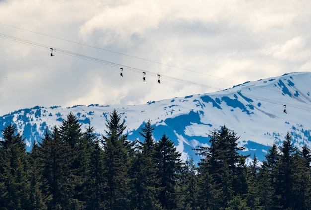 Tourists in zip line harnesses zoom down the mountain at icy strait point